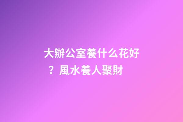 大辦公室養什么花好？風水養人聚財
